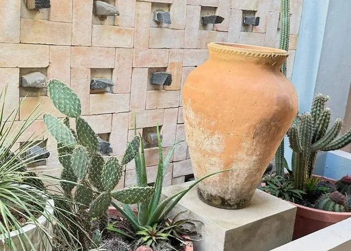 Casa Cacto Pousada