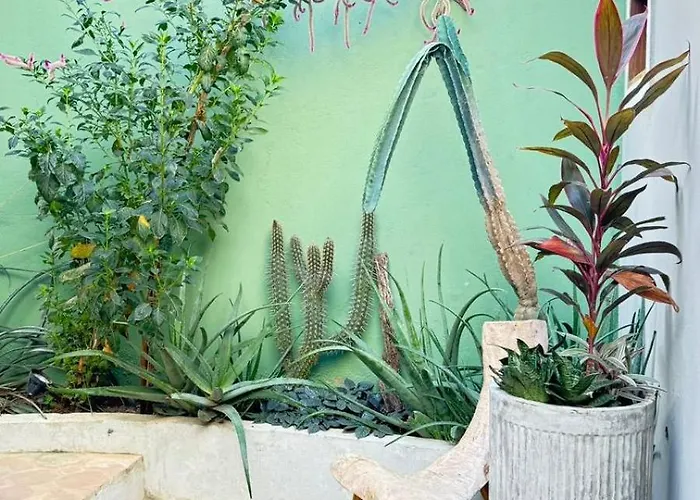 Casa Cacto Pousada